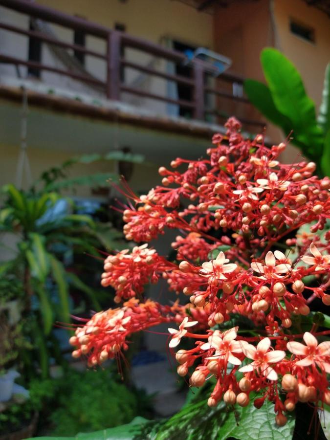 Residencial Caetano'S Apartment ปอร์โตเซกูโร ภายนอก รูปภาพ
